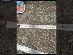 CPRI Bbu Odc-Dlc Cpri سیم پیچ فیبر نوری ضد آب با پوشش گرد و غبار