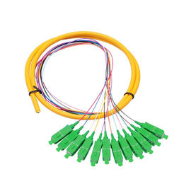 خرید 12 هسته SC APC تک حالت توزیع فیبر نوری Pigtail برای شبکه های مخابراتی online manufacture