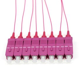 خرید OM4 SC / PC فیبر نوری Pigtail، 1 متری کابل فیبر فیبر دار 12 رنگ 0.9 میلیمتر online manufacture