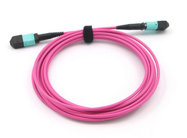خرید کابل تنه ای Patch Cord MPO TO MPO 12 Fiber Core OM4 Magenta MPO MPO online manufacture