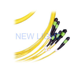 خرید کابل فیبر نوری دوبلکس G652D LSZH Single Mode MPO / MTP Trunk Cord 8/12/24 Core online manufacture